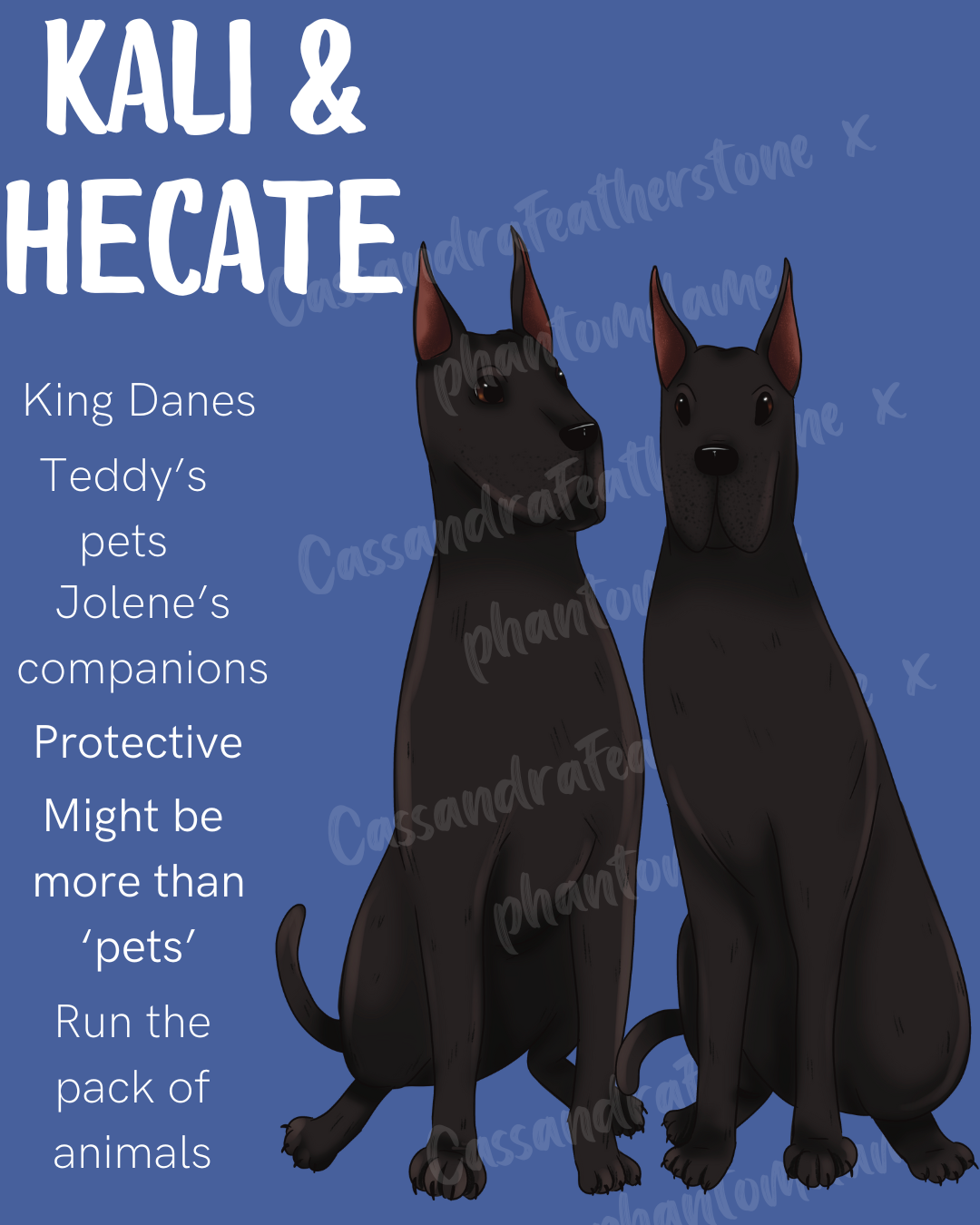 MPP CHARACTER PRINT PACK-Teddy/Kali&Hecate