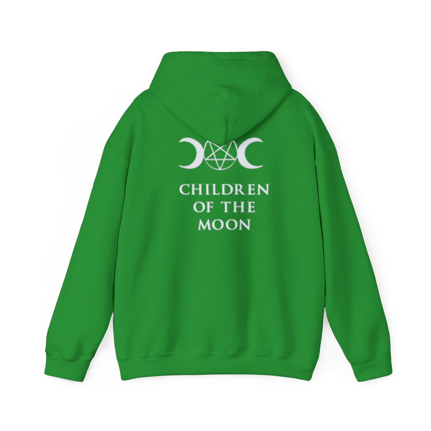 Glimmerleaf Academy (Children of the Moon) Unisex Heavy Blend™ Hooded Sweatshirt