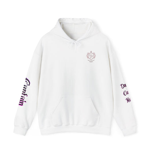 Douche Canoe Navy (MPP) Unisex Heavy Blend™ Hooded Sweatshirt